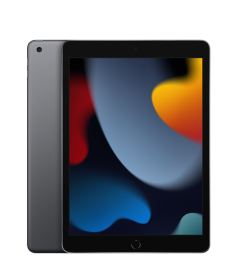 iPad 10.2-inch Wi-Fi + Cellular 64 GB Space Gray 9. Gen.