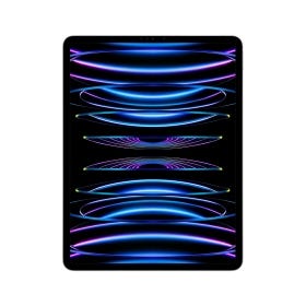 iPad Pro 12.9-inch Wi-Fi + Cellular 1TB Silver 6th generation