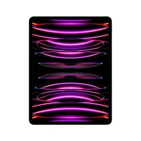 iPad Pro 12.9-inch Wi-Fi + Cellular 2TB Space Grey 6th generation