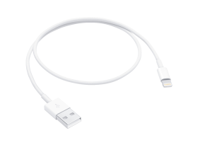 Lightning to USB cable (0.5 m)