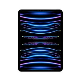iPad Pro 11-inch Wi-Fi + Cellular 2TB Silver 4th generation