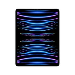 iPad Pro 12.9-inch Wi-Fi + Cellular 1TB Silver 6th generation