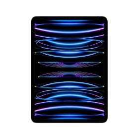 iPad Pro 11-inch Wi-Fi + Cellular 512GB Silver 4th generation