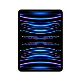 iPad Pro 11-inch Wi-Fi + Cellular 2TB Silver 4th generation