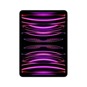 iPad Pro 11-inch Wi-Fi + Cellular 2TB Space Grey 4th generation