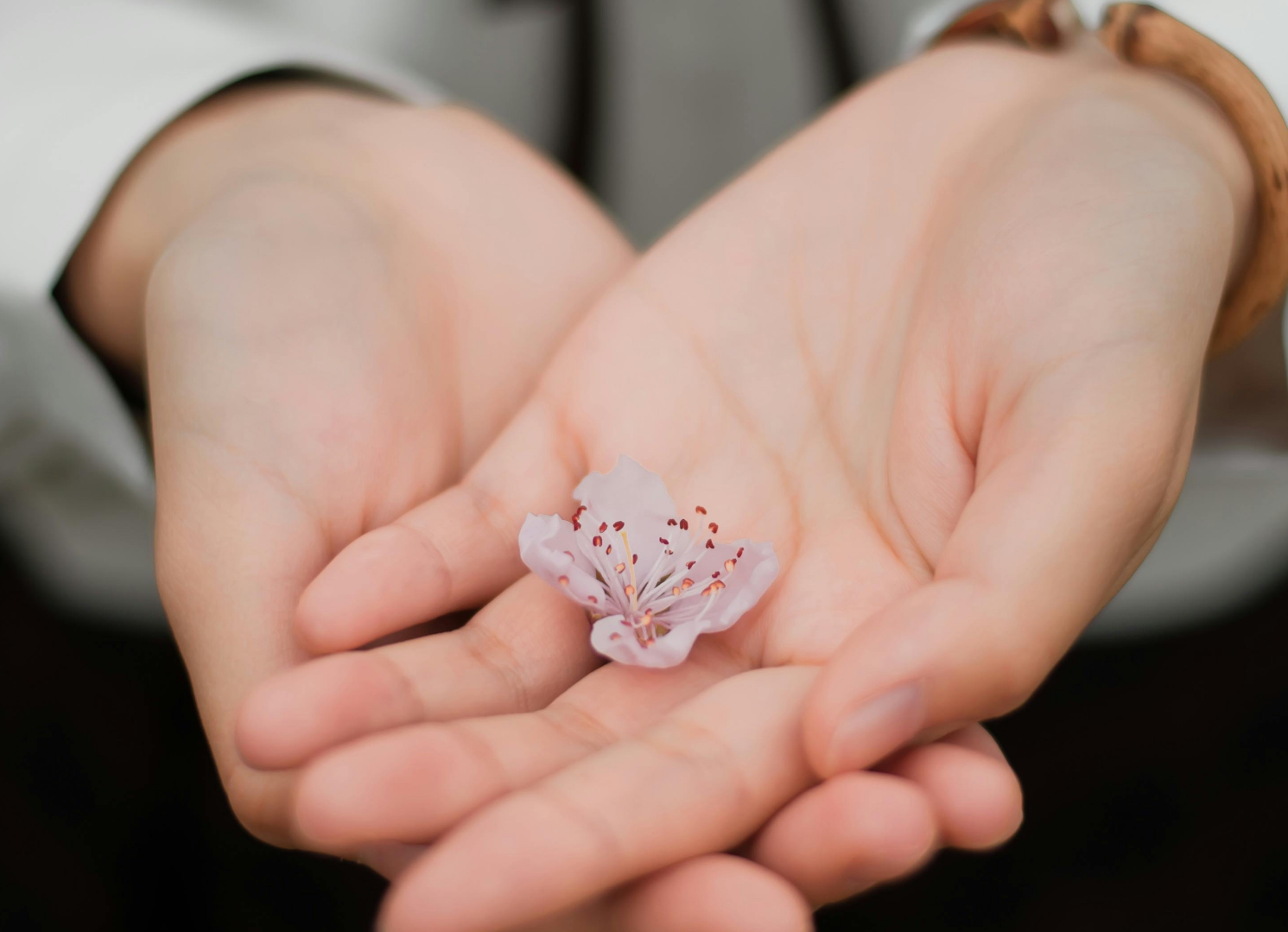 l'Unesco donne son ressenti sur l'intelligence artificielle chatgpt